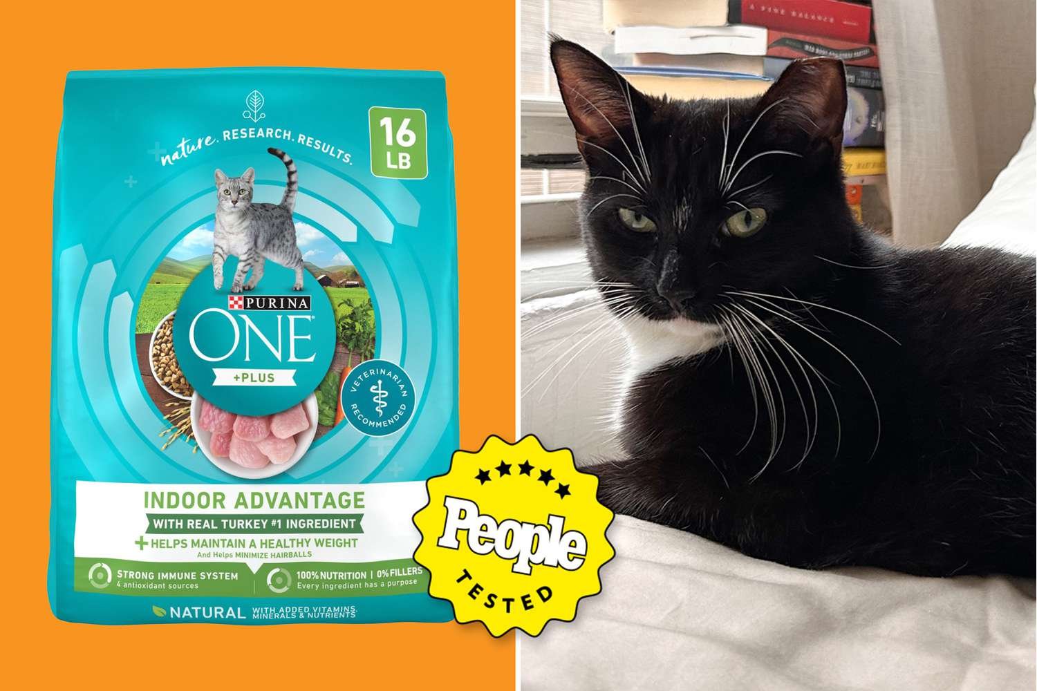 Best Cat Foods